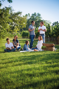 picnic-photo